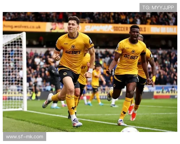 狼说足球十大球星群体解析 揭秘足球巨星的风采与成就